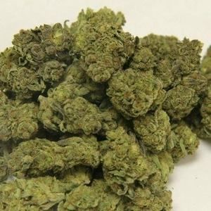 Meet your Posher, Edward